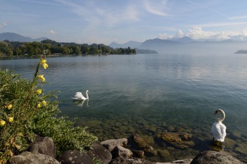 Lake Lucerne || Switzerland