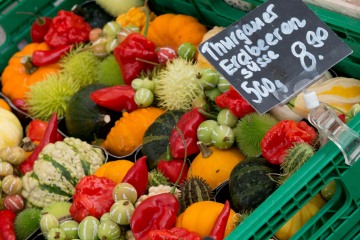 Lucerne Market || Switzerland
