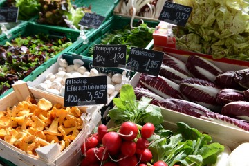Market in Lucerne || Switzerland