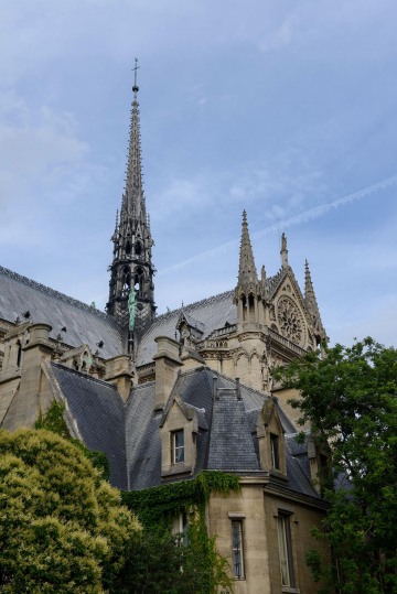 Notre-Dame Cathedral || Paris