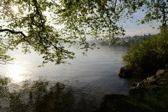 Calm Scene at Lake Lucerne || Switzerland
