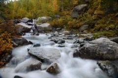 Gornera River in Fall || Zermatt, Switzerland