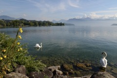 Lake Lucerne || Switzerland