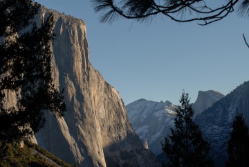 El Capitan and Half Dome Through the Pines || Yosemite NP