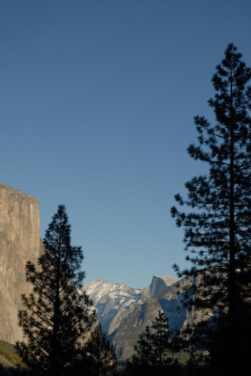 El Capitan and Half Dome with Pines || Yosemite NP