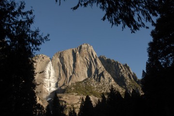 Frozen Yosemite Falls through Trees || Yosemite NP