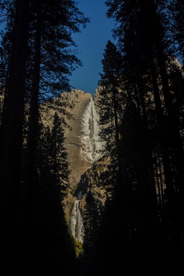 Frozen Yosemite Falls through Trees || Yosemite NP