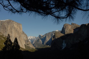 Pines Frame El Capitan and Half Dome || Yosemite NP
