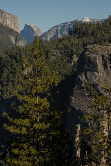 Valley View || Yosemite NP