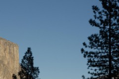 El Capitan and Half Dome with Pines || Yosemite NP