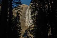 Frozen Yosemite Falls through Trees || Yosemite NP
