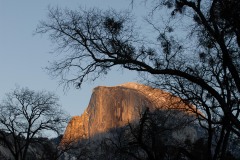 Half Dome Framed through Trees || Yosemite NP